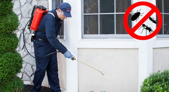 Karacasu Fare İlaçlama böcek ilaçlama ve haşere kontrolü — ilaclama-tr.com